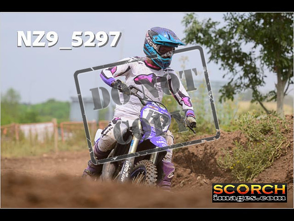 Experts-354