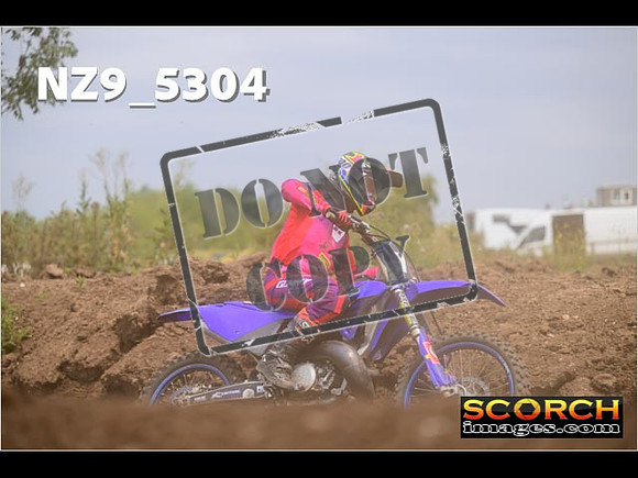 Experts-361