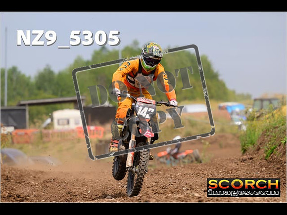 Experts-362