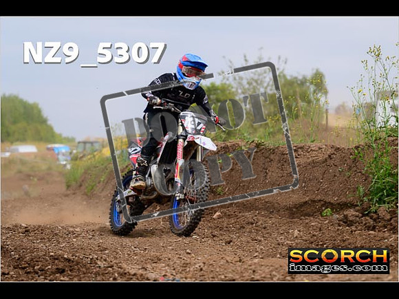 Experts-364