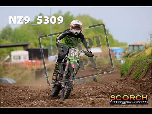 Experts-366