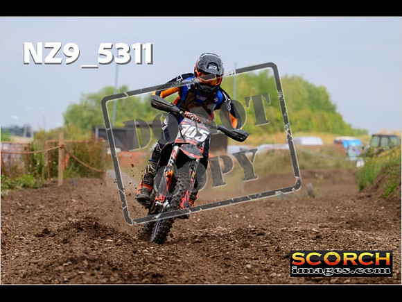 Experts-368