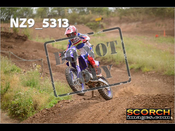 Experts-370