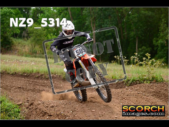 Experts-371