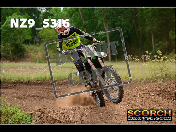Experts-373