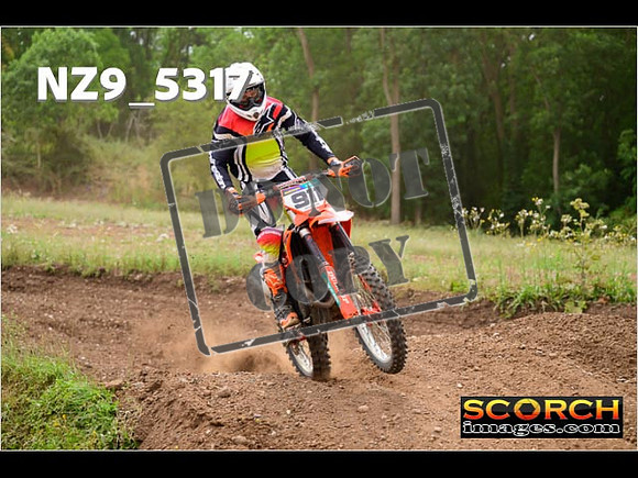Experts-374