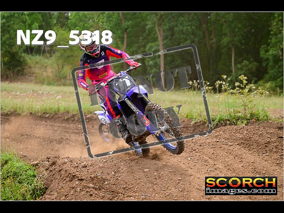 Experts-375