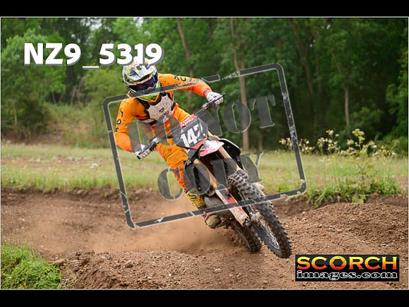 Experts-376