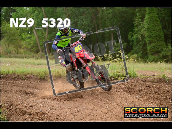Experts-377