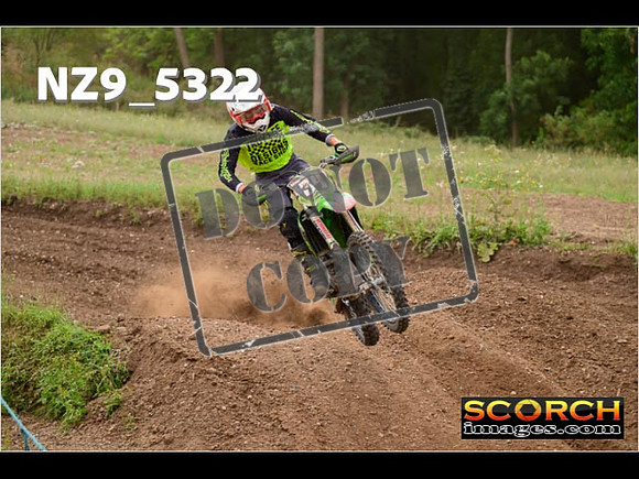 Experts-379