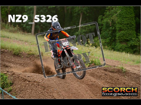 Experts-381