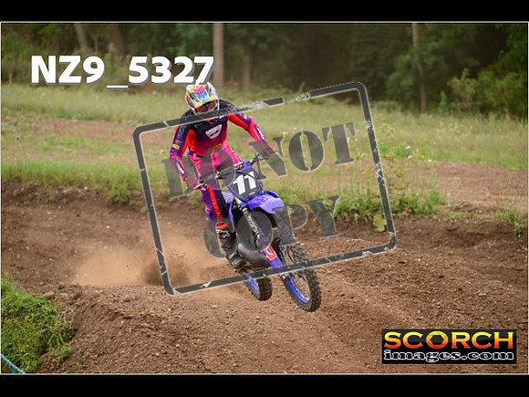 Experts-382