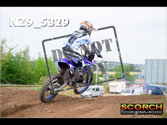 Experts-384
