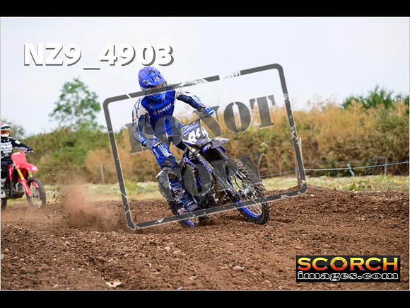 IntersBlue-250