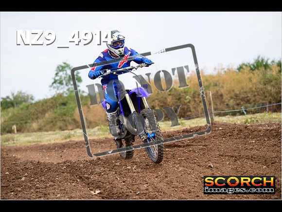 IntersBlue-261