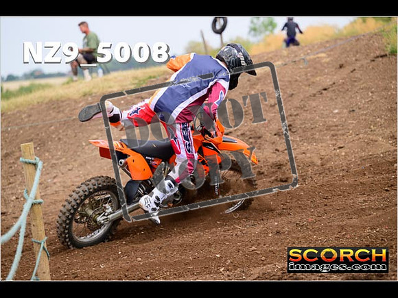 IntersGreenOrange-117