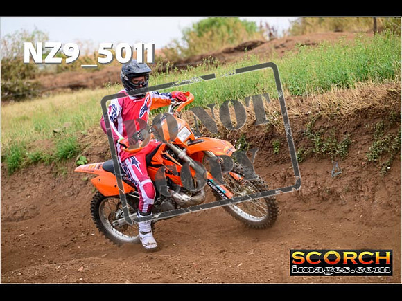 IntersGreenOrange-120