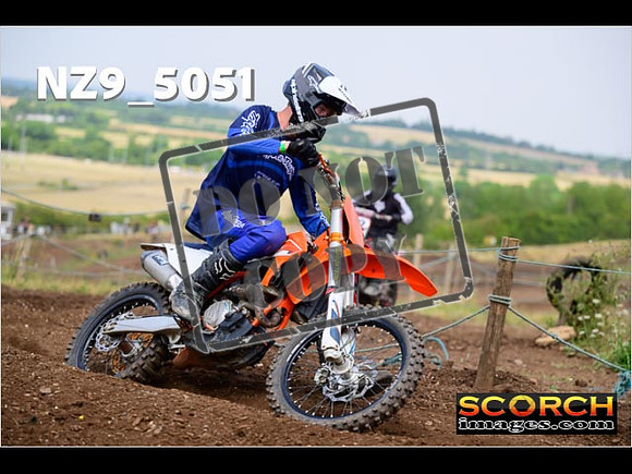IntersGreenOrange-160
