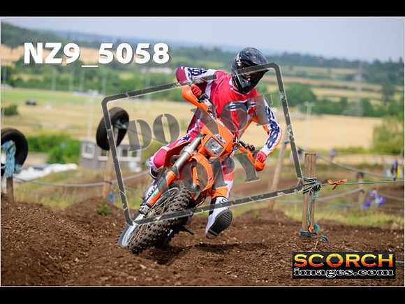 IntersGreenOrange-167