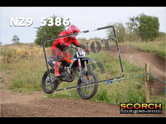 IntersGreenOrange-209