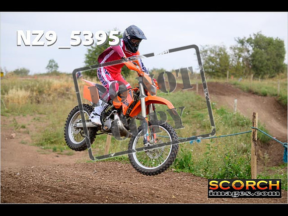 IntersGreenOrange-218