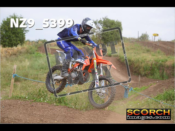 IntersGreenOrange-222