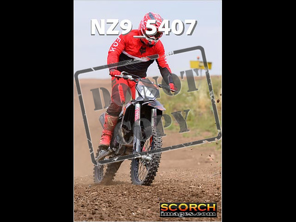 IntersGreenOrange-230