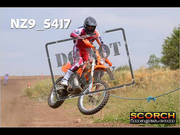 IntersGreenOrange-240