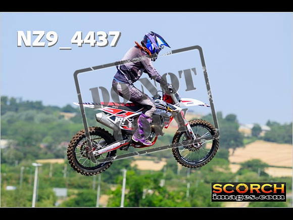 IntersGreenOrange-008