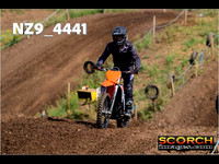 IntersGreenOrange-012