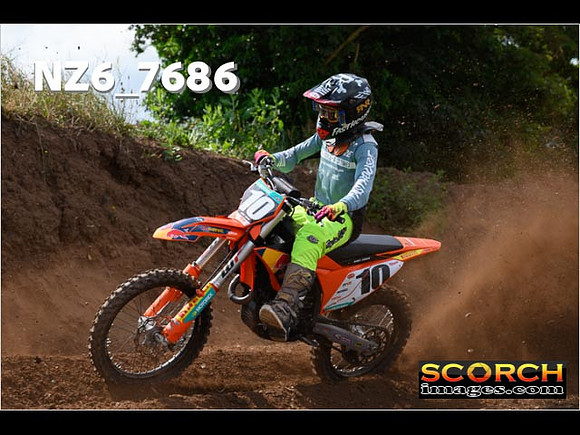 Experts-066