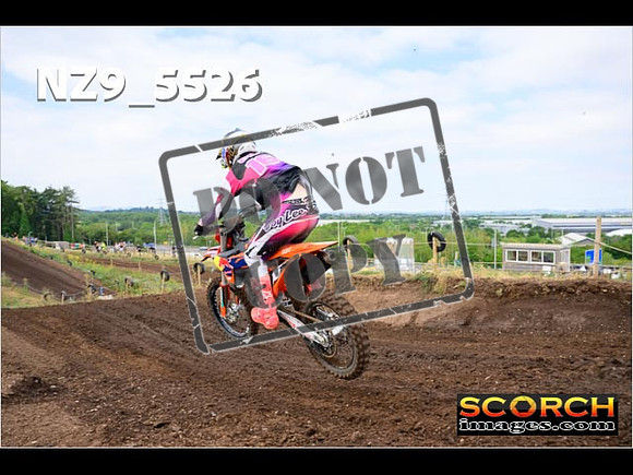 Experts-013