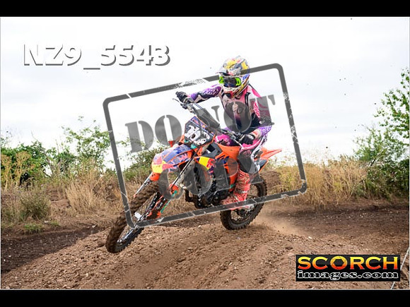 Experts-030