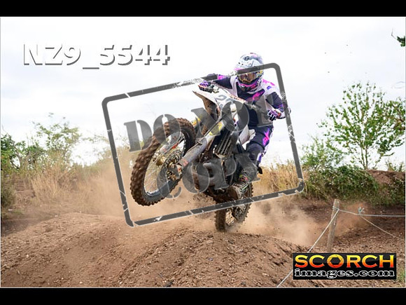 Experts-031