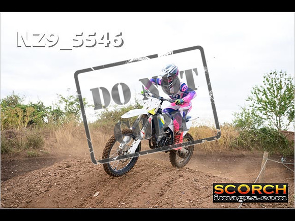 Experts-033