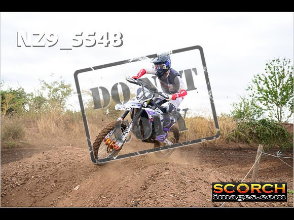 Experts-035