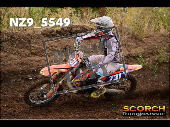 Experts-036