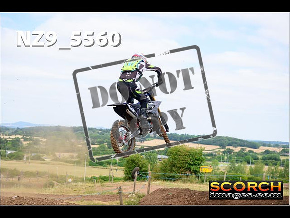 Experts-046