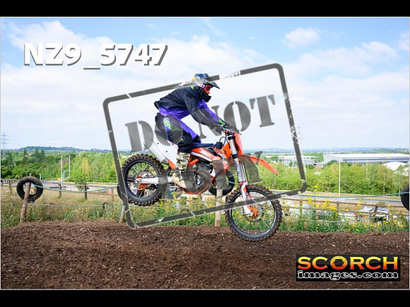 IntersGreenOrange-048