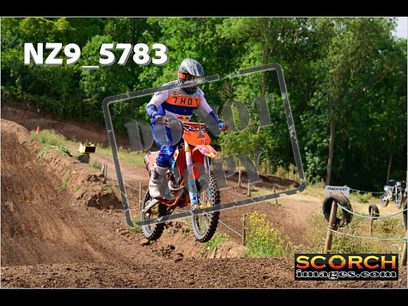 IntersGreenOrange-083