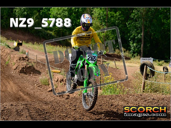 IntersGreenOrange-088