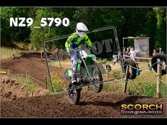 IntersGreenOrange-090
