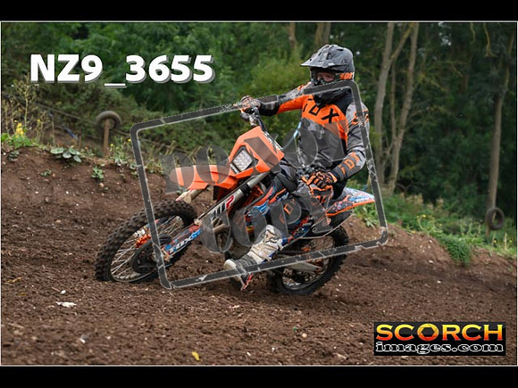 IntersGreenOrange-021