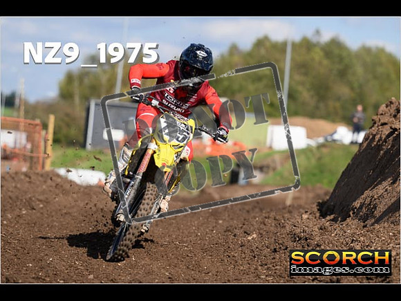 Experts-318