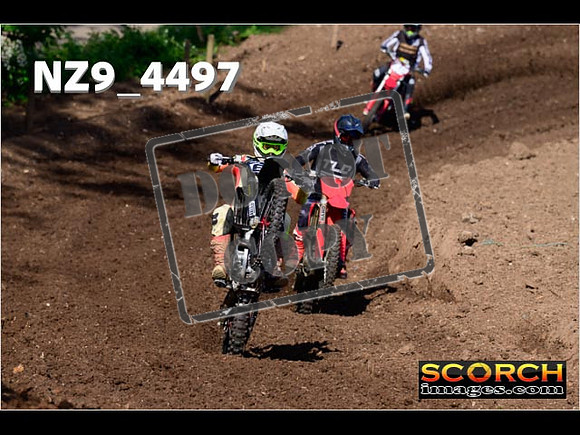 Experts-009