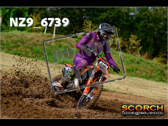 Experts-020