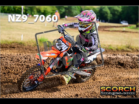 Auto&65-031