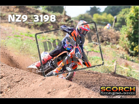 Experts-016