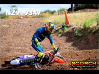 Experts-013