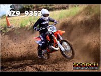 Experts-019